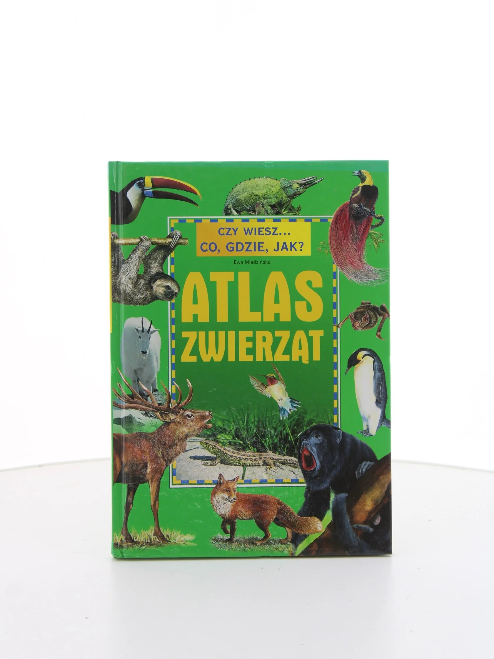 Zdjęcie produktu 1
