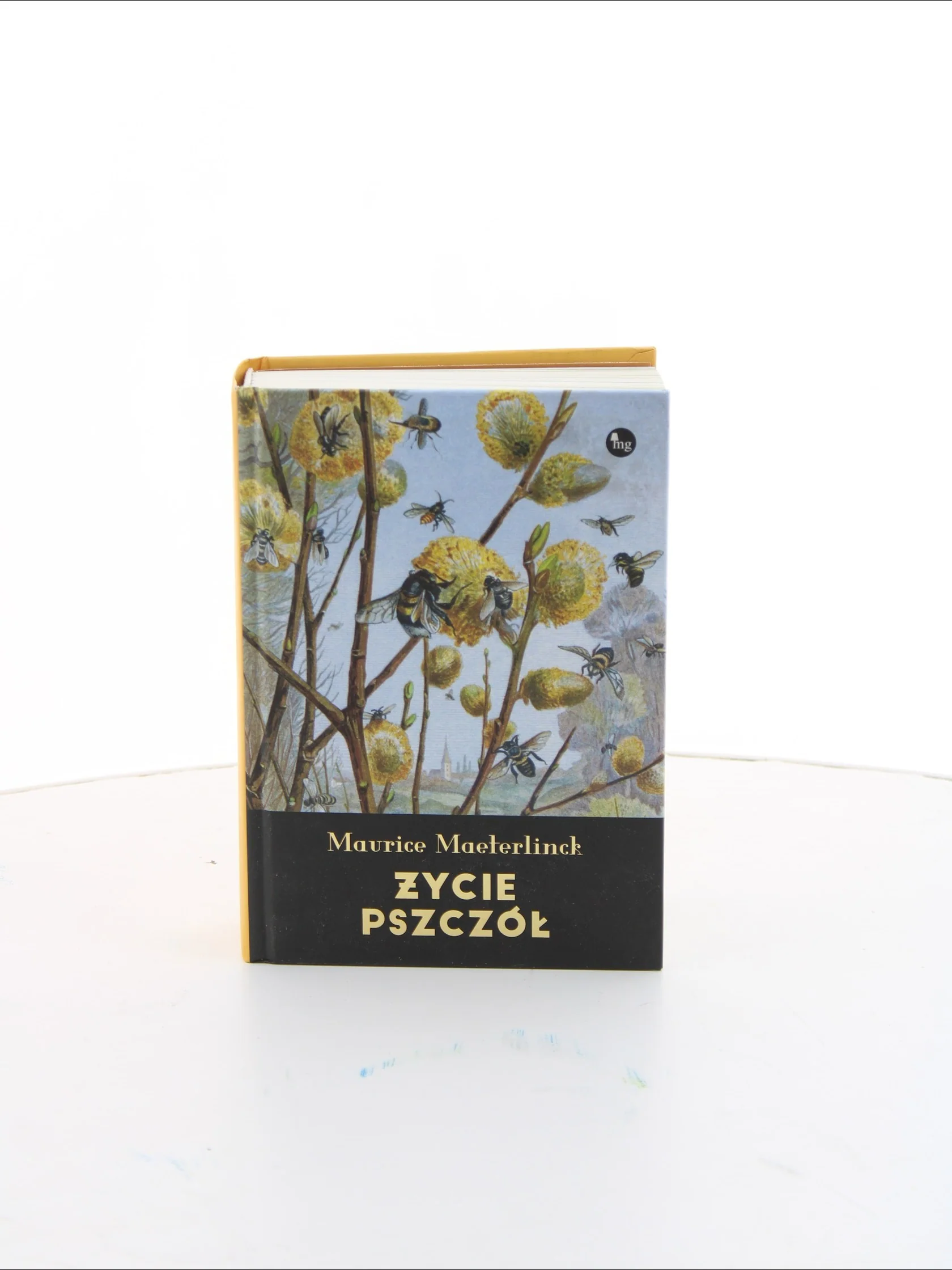 Zdjęcie produktu 1