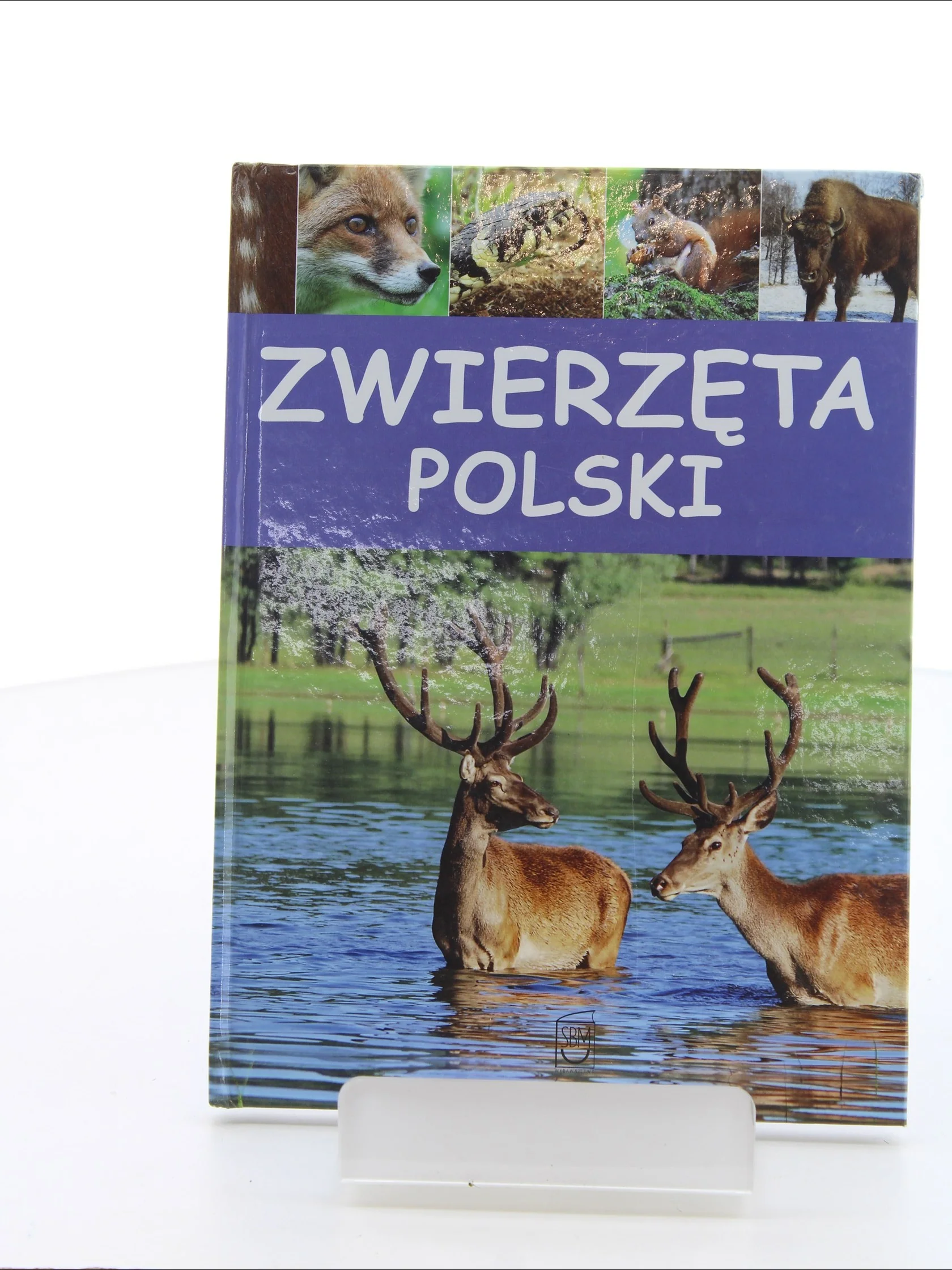 Zdjęcie produktu 1